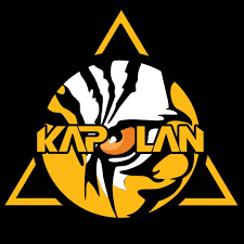 صفری - کاپلان